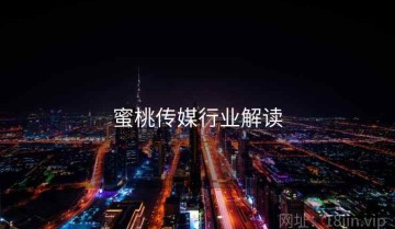 蜜桃传媒行业解读