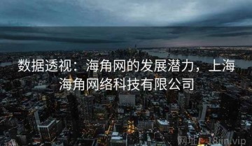 数据透视：海角网的发展潜力，上海海角网络科技有限公司