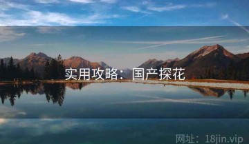 实用攻略：国产探花