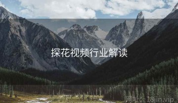 探花视频行业解读