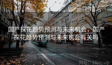 国产探花趋势预测与未来机会，国产探花趋势预测与未来机会有关吗