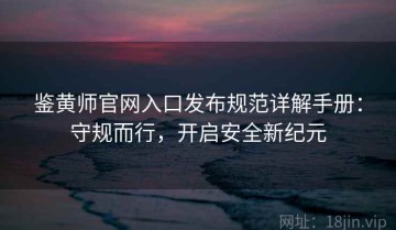 鉴黄师官网入口发布规范详解手册：守规而行，开启安全新纪元