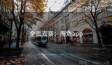 全面观察：海角app