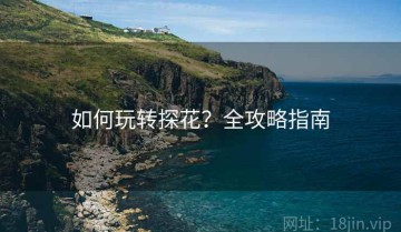 如何玩转探花？全攻略指南