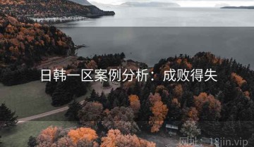 日韩一区案例分析：成败得失