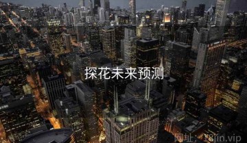 探花未来预测