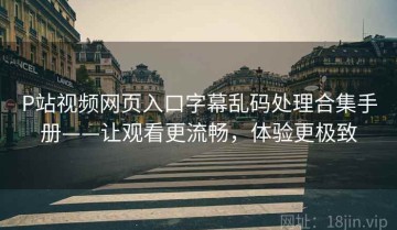 P站视频网页入口字幕乱码处理合集手册——让观看更流畅，体验更极致