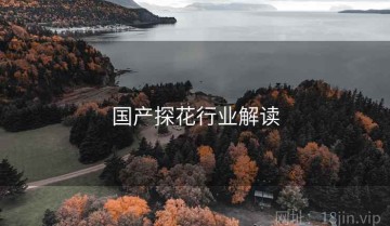 国产探花行业解读