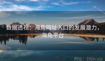 数据透视：海角网址入口的发展潜力，海角平台