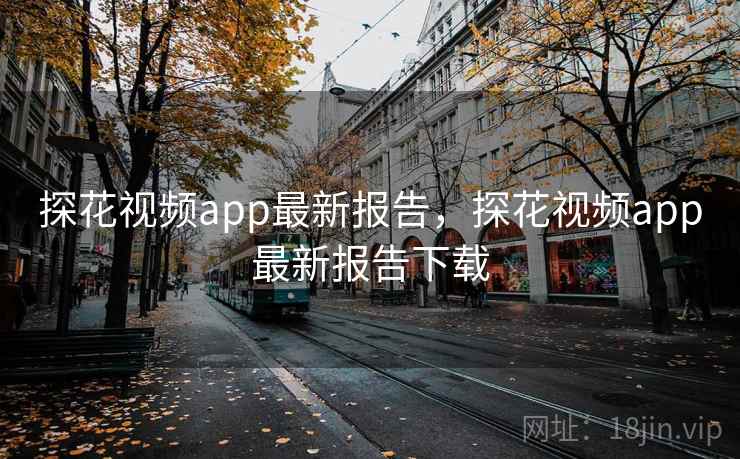 探花视频app最新报告，探花视频app最新报告下载