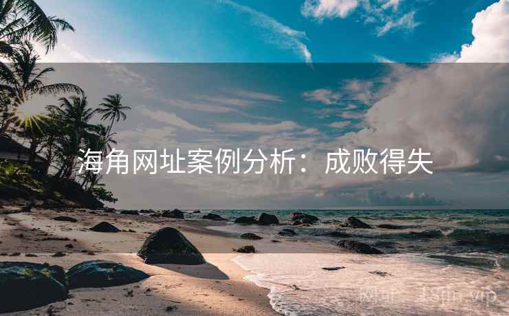 海角网址案例分析：成败得失