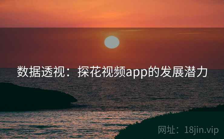 数据透视：探花视频app的发展潜力