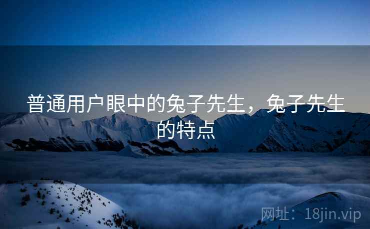 普通用户眼中的兔子先生，兔子先生的特点