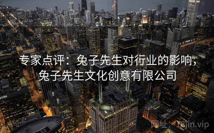专家点评：兔子先生对行业的影响，兔子先生文化创意有限公司