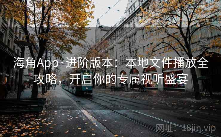 海角App·进阶版本：本地文件播放全攻略，开启你的专属视听盛宴