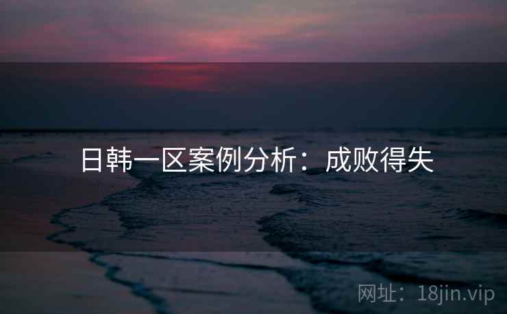 日韩一区案例分析：成败得失