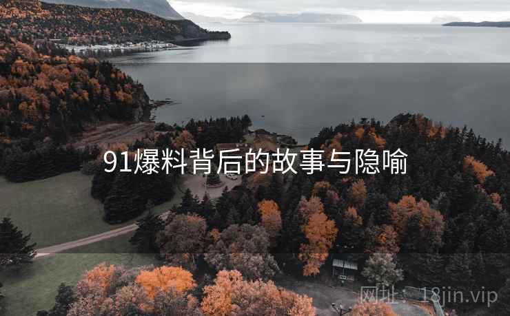 91爆料背后的故事与隐喻